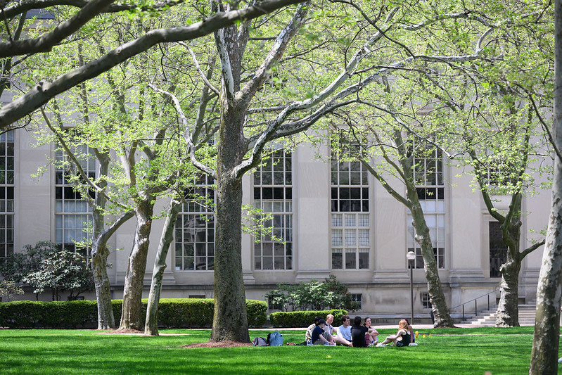 group sitting on grass on campus